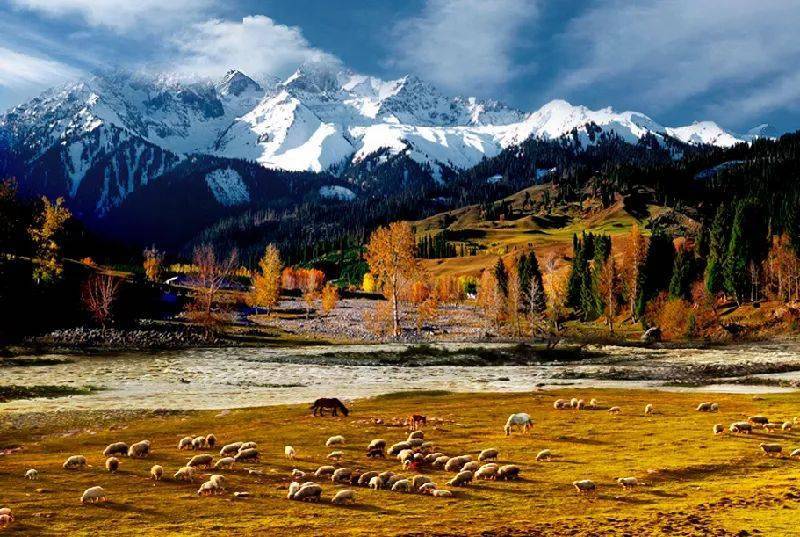 新疆，亲爱的朋友们之旅